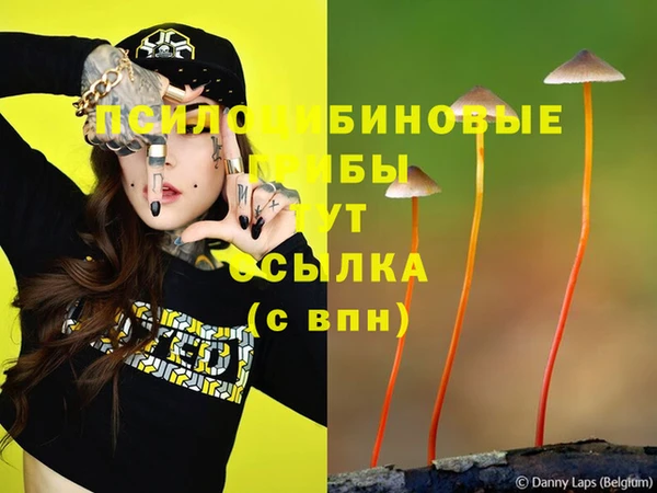 каннабис Беломорск