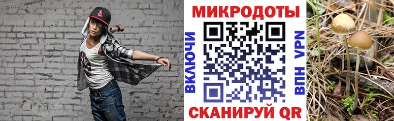 дарнет шоп  Бирюч  Псилоцибиновые грибы GOLDEN TEACHER 